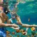 Al detallar los datos analizados entre 2019 y 2024, se observa que desde 2021 se ha registrado un aumento constante en la llegada de turistas indios al país.
