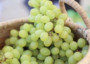 El inicio de la exportación de uva de mesa a Estados Unidos se produce justo un día después de que el presidente de ese país, Donald Trump, anunciara la imposición de un arancel global del 10% para todas las importaciones.