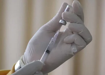 Seis de once primates inoculados contra el virus de 1918 sobre vivieron al H5N1.