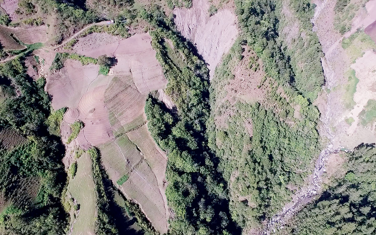 valle nuevo medio ambiente depredacion