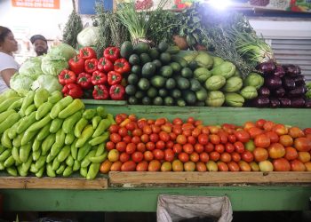 Villalona destaca que Quisqueya tiene el potencial para ser competitiva en la exportación de ajíes morrones y de tomates.