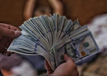 Dólares. - Unplash.