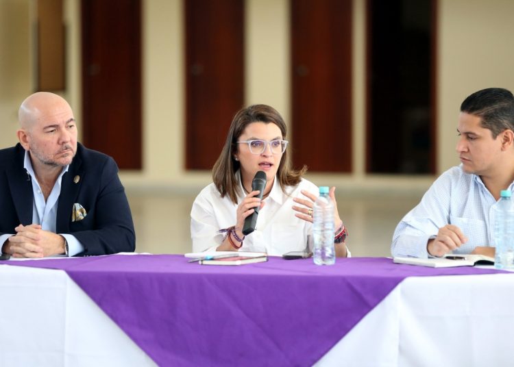 Pinto calificó como "complicada" la situación al sistema de salud, pero no se refiere a una crisis generalizada en el sector.