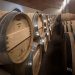 Las ventas externas de la viña Concha y Toro ascendieron a 360 millones de botellas en 2022.