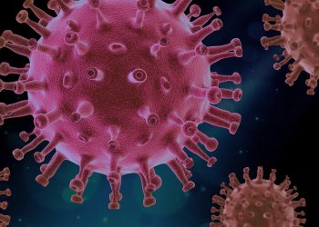 coronavirus covid-19