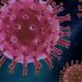 coronavirus covid-19