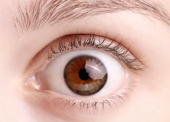 Los expertos señalaron que una de las limitaciones de este sistema radican en su mayor tasa de precisión al analizar datos procedentes de China.