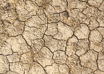 El Niño puede alterar la corriente en chorro, secando el noroeste de EE. UU. y empapando el suroeste con lluvias inusuales. - Fuente externa.