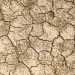 El Niño puede alterar la corriente en chorro, secando el noroeste de EE. UU. y empapando el suroeste con lluvias inusuales. - Fuente externa.