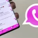 La personalización de WhatsApp es posible con aplicaciones externas, estas no siempre cumplen con los Términos de Servicio establecidos por la aplicación oficial, especialmente en lo que se refiere a la privacidad de los datos.