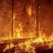 Incendio forestal - Fuente externa.