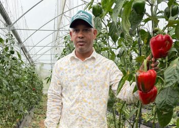 Wilkin Beato espera apoyo técnico continuo del Ministerio de Agricultura y recursos para ampliarse.