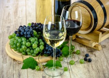 Vinos.