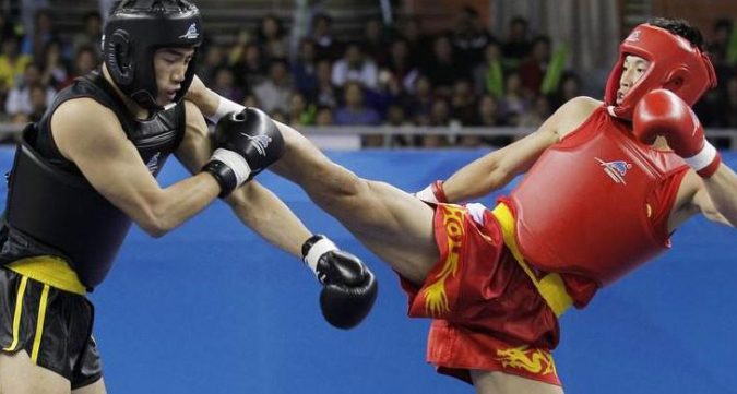 wushu sanda