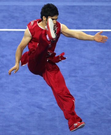 wushu tai chi