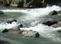 La protección de los bosques y las zonas de recarga hídrica es clave para preservar el caudal del río Yaque del Norte.