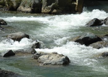 La protección de los bosques y las zonas de recarga hídrica es clave para preservar el caudal del río Yaque del Norte.