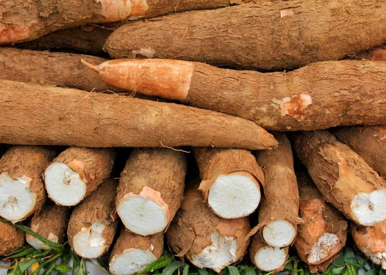 Florencio destaca importancia de adquirir una cultura exportadora, certificando las fincas y priorizando la sanidad agropecuaria.