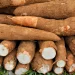 Florencio destaca importancia de adquirir una cultura exportadora, certificando las fincas y priorizando la sanidad agropecuaria.