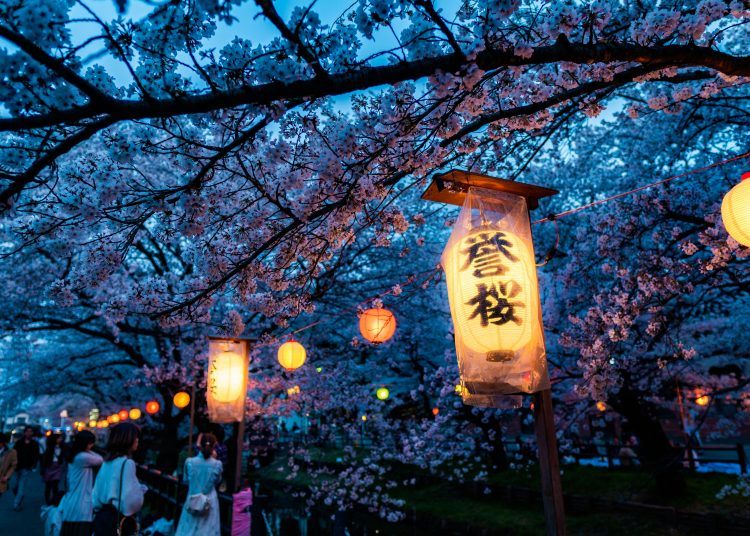 Respecto a cifras prepandémicas, los números de agosto de 2024 superan en un 16.4% a los del año 2019. - Unplash.