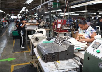 Las zonas francas redujeron sus importaciones 2% respecto al 2024.