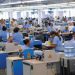 El crecimiento interanual fue de 23 empresas nuevas en comparación con 2023.