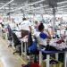 Los países con mayor presencia de empleos informales son Ecuador, México, Paraguay y Perú, señaló la OIT.