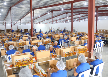 El Distrito Nacional encabezó la generación de puestos de trabajo con 25,458 empleos.