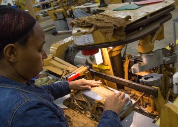 Las empresas de zonas francas generan más de 198,000 empleos directos formales.