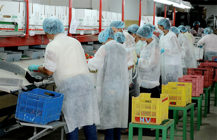 Los detractores de las exenciones entienden que este mecanismo genera un clima de inequidad de condiciones en un mismo mercado.